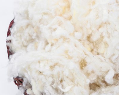 Home of Wool all-natural GOTS certified wool stuffing - close up texture detail