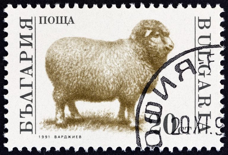 Home of Wool Bulgaria