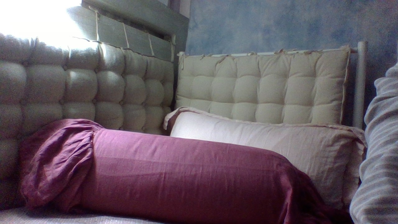 Wool Tufted Headboard Cushion photo review