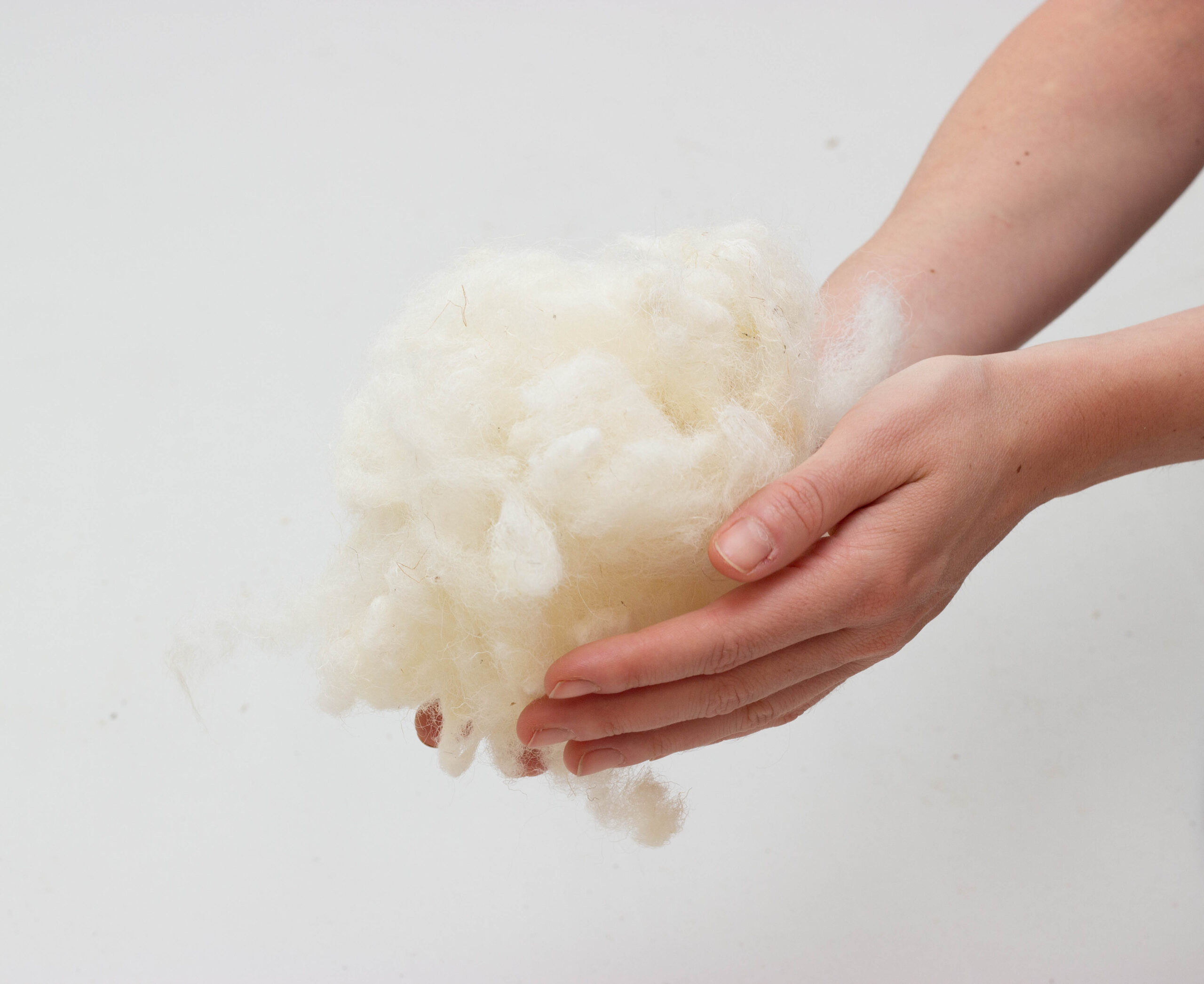 Home-of-wool-wool-stuffing
